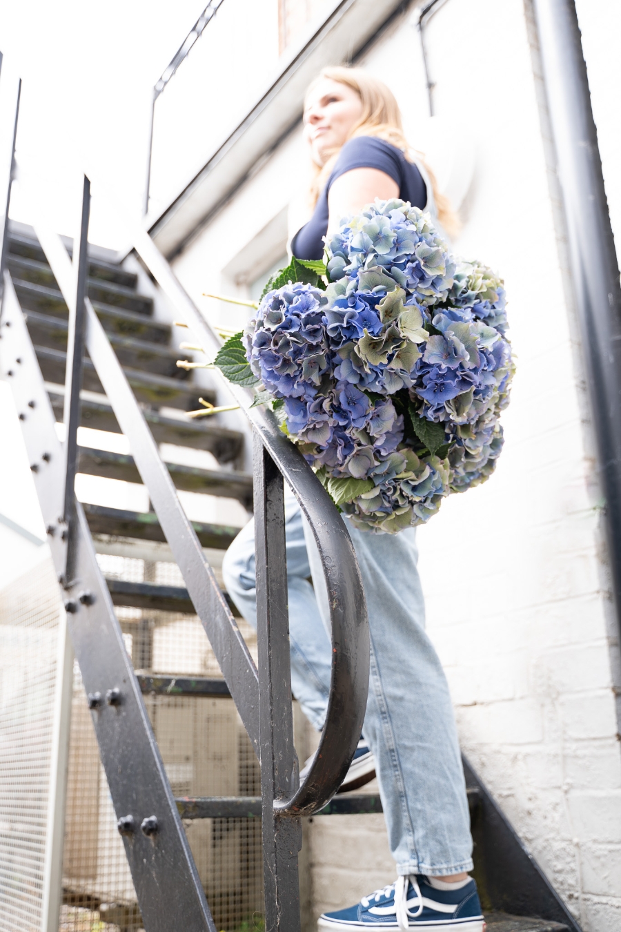 Armful of Hydrangeas